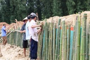 Thanh Hóa gia cố tạm thời để hạn chế sự phát triển của sạt lở, xâm thực tại bờ biển