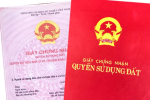 Các trường hợp đất không được cấp sổ đỏ theo Luật Đất đai 2024