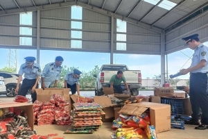 Thanh Hóa: Bắt giữ số lượng lớn đồ chơi, thực phẩm không rõ nguồn gốc