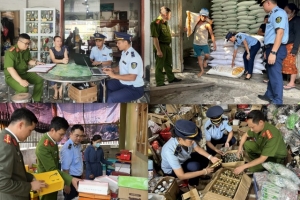 Nghệ An xử lý 2.278 vụ, thu phạt hơn 6,4 tỷ đồng trong 8 tháng đầu năm 2024