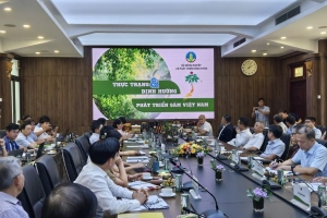 Các giải pháp xây dựng thương hiệu sâm Việt Nam