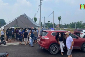 Đấu giá đất tại Phúc Thọ: Hơn 700 hồ sơ tham gia