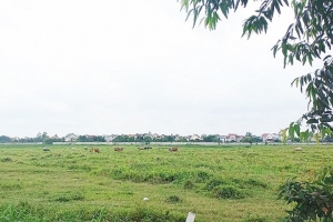 Hải Dương kiểm tra 26 dự án ngoài khu công nghiệp chậm tiến độ