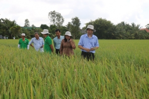 Bộ trưởng Lê Minh Hoan nói về gợi ý thương hiệu lúa gạo mùa nước nổi Việt Nam