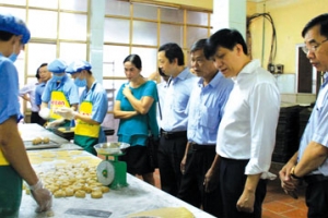 Siết chặt quản lý an toàn thực phẩm: Doanh nghiệp có lộ trình chuyển tiếp 12–24 tháng