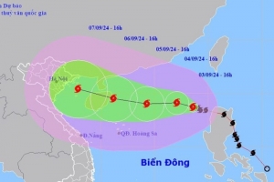 Thanh Hóa: Vẫn còn 835 phương tiện đang hoạt động trên biển trước khi bão số 3 đổ bộ