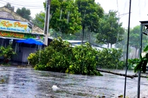 Vĩnh Long: Chủ động triển khai các biện pháp ứng phó ảnh hưởng của bão số 3