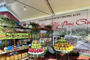 Triển khai có hiệu quả Cuộc vận động “Người Thanh Hóa ưu tiên dùng hàng Thanh Hóa”