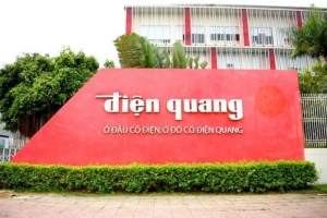Điện Quang (DQC) ghi nhận lỗ 2,16 tỷ đồng trong nửa đầu năm 2024