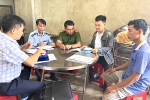 Quảng Ngãi: Kiểm tra, xử lý phân bón giả, phân bón không đảm bảo chất lượng