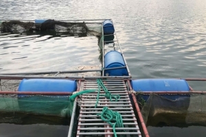 Người nuôi trồng thuỷ sản chủ động gia cố lồng bè, diện tích nuôi trồng ứng phó với bão số 3