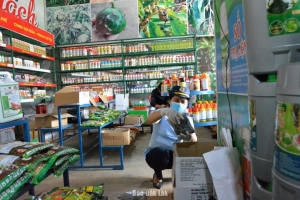 Đắk Lắk: TP. Buôn Ma Thuột xử phạt 6 cửa hàng kinh doanh phân bón, thuốc bảo vệ thực vật