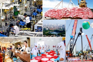 Bốn lĩnh vực đầu tư chiến lược đưa Mỹ đến gần thị trường Việt Nam