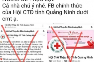 Quảng Ninh: Xử lý nghiêm đưa thông tin, bình luận không đúng về công tác phòng, chống, khắc phục bão số 3