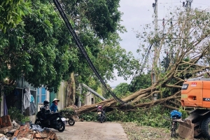 Hải Dương còn khoảng 220.000 khách hàng chưa có điện do bão