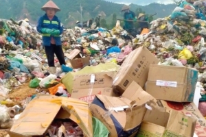 Đà Nẵng tiêu hủy gần 10.000 bánh trung thu không rõ xuất xứ