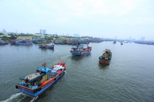Đà Nẵng: Mở đợt kiểm tra, xử phạt nghiêm 100% hành vi khai thác hải sản bất hợp pháp