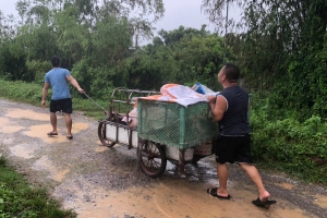 Lũ trên sông Ninh Cơ báo động 3, huyện Trực Ninh di dời gần 500 hộ dân vùng đê bối