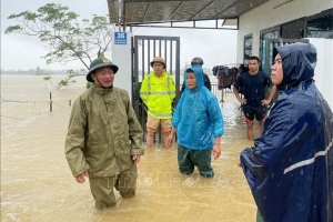 UBMTTQVN tỉnh Tiền Giang: Thư ngỏ vận động ủng hộ khắc phục thiệt hại do cơn bão số 3 gây ra