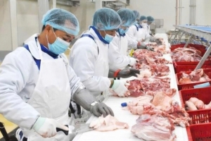 BaF Việt Nam (BAF) muốn đầu tư vào một công ty trồng cây cao su ở Đắk Lắk