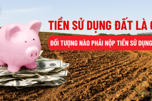 Thanh toán nợ tiền sử dụng đất
