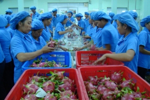Cẩm nang hỏi đáp những vấn đề cần lưu ý trong kinh doanh với thị trường Đức