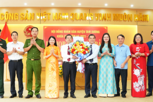 Vĩnh Tường, Tam Dương và Tam Đảo của tỉnh Vĩnh Phúc bầu Chủ tịch UBND huyện