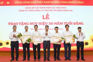 Trao Huy hiệu 30 năm tuổi Đảng cho 4 đảng viên thuộc Đảng ủy Tổng công ty Truyền tải điện Quốc gia