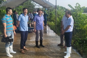 Thanh Hóa triển khai các biện pháp phòng, chống dịch bệnh mùa mưa lũ