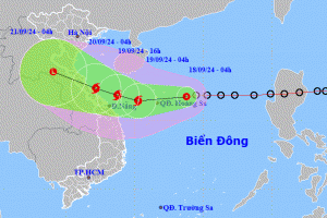 Dự báo: Áp thấp nhiệt đới có khả năng mạnh lên thành bão cấp 8, giật cấp 10