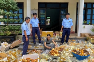 Tiêu hủy gần 1.200 đơn vị bánh nhập lậu dịp Tết Trung thu
