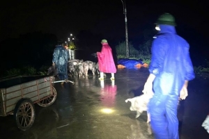 Thanh Hóa: Tràn đê sông Mã, nhiều hộ dân phải di dời