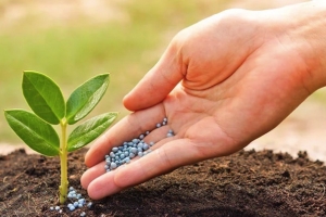 Một mặt hàng của Việt Nam liên tục lên cơn sốt, thu gần 500 triệu USD trong 8 tháng