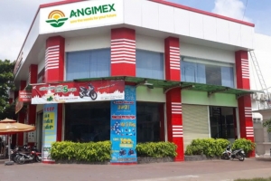 Xuất nhập khẩu An Giang đăng ký bán toàn bộ 183.200 cổ phiếu AGM, tỷ lệ 1,006%