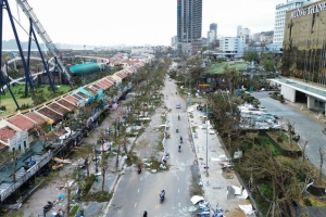 Thành phố Hạ Long thiết lập lại hệ thống cây xanh sau bão