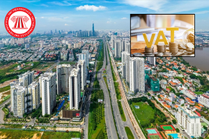 Hợp đồng thuê đất thì người cho thuê hay người thuê phải nộp thuế sử dụng đất phi nông nghiệp?