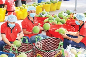 Việt Nam - Trung Quốc hội nhập đa chiều