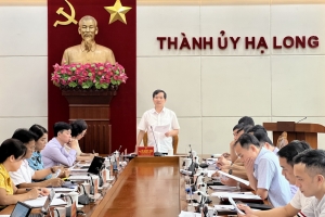 Thực hiện ngay quy trình tạm đình chỉ công tác giám đốc ban quản lý dự án