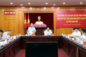 Lạng Sơn: Làm việc với Đoàn công tác của Ban Chỉ đạo tổng kết Nghị quyết số 09
