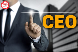 CEO là gì? Thù lao của CEO công ty TNHH hai thành viên trở lên được xác định như thế nào?
