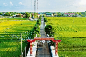 Xác định chi phí chung công trình nông nghiệp thế nào?
