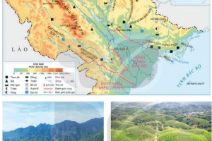 Thực hiện Quy hoạch vùng Trung du và miền núi phía Bắc có thí điểm mô hình, cơ chế, chính sách mới, đặc thù