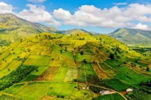 Gia Lai tổ chức Tuần lễ Hoa Dã Quỳ - Núi lửa Chư Đăng Ya năm 2024
