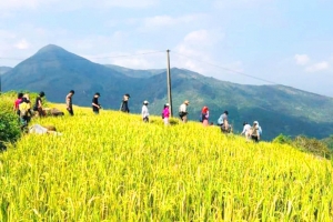 Bình Liêu đón đoàn famtrip 50 doanh nghiệp tới khảo sát, kết nối du lịch