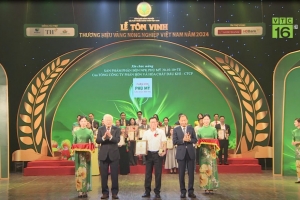 NPK Phú Mỹ 20-10-10+TE - Thương hiệu Vàng nông nghiệp Việt Nam năm 2024