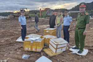 Quản lý thị trường Lâm Đồng: Xử phạt, tiêu hủy gần 200kg thực phẩm đông lạnh không rõ nguồn gốc xuất xứ