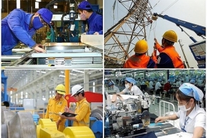 Doanh nghiệp nào cần chuyển đổi sở hữu và thoái vốn nhà nước?