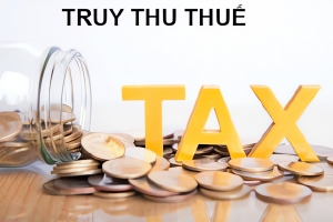 Đóng mã thuế, Sun House (Việt Nam) vẫn bị truy thu hơn 4 tỷ đồng