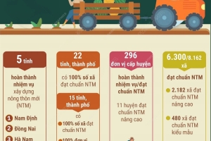 Nam Định là một trong 5 địa phương đầu tiên hoàn thành xây dựng nông thôn mới