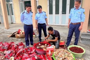 Tiêu hủy hơn 200 sản phẩm thực phẩm nhập lậu do nước ngoài sản xuất